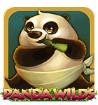 play the Exclusive Panda Wilds Game Panda Wilds Game