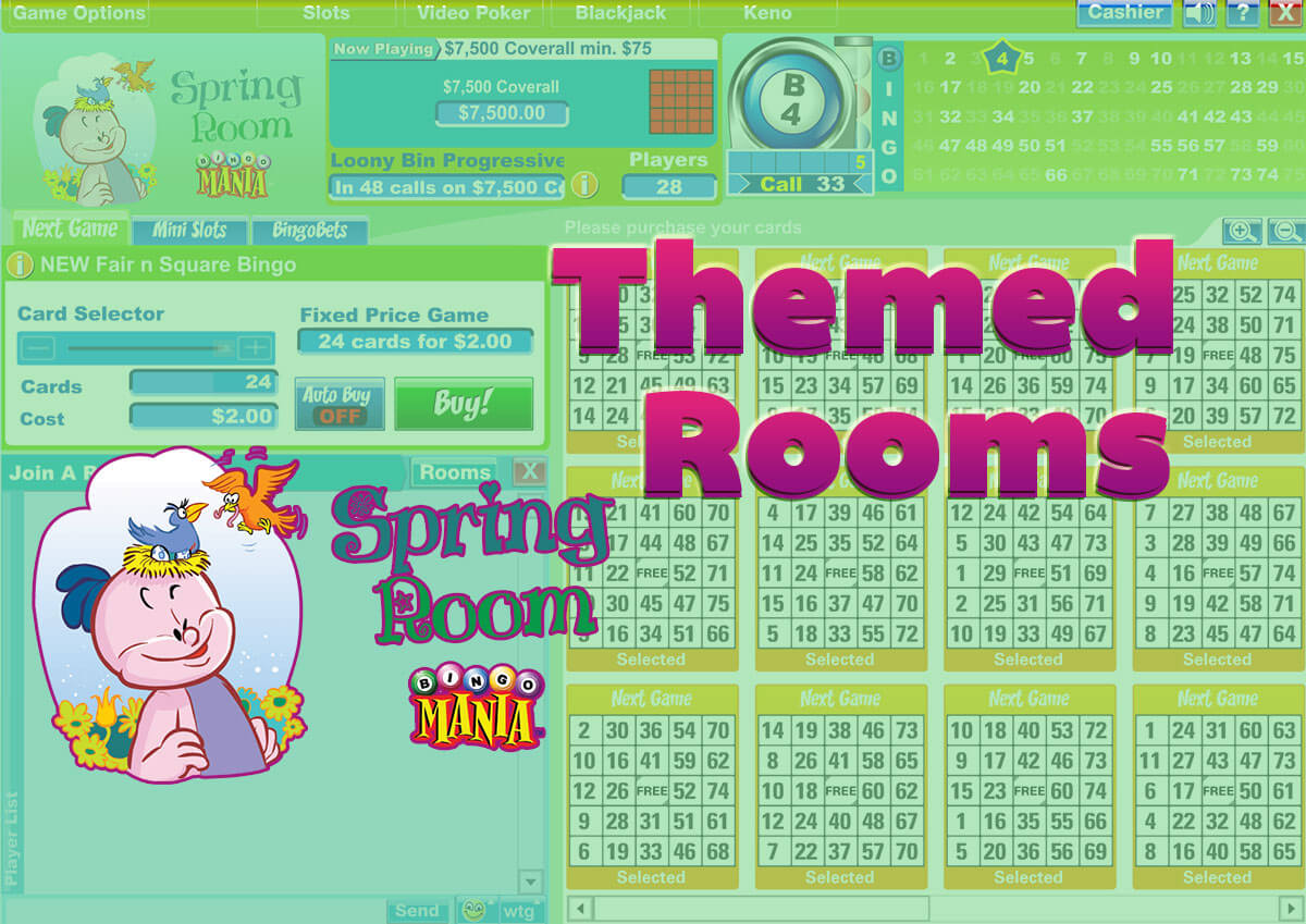 Themed Bingo Rooms